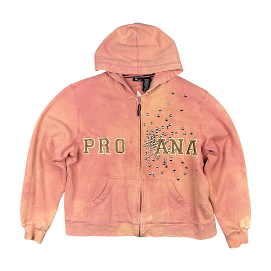 ProAna__V1 (M)